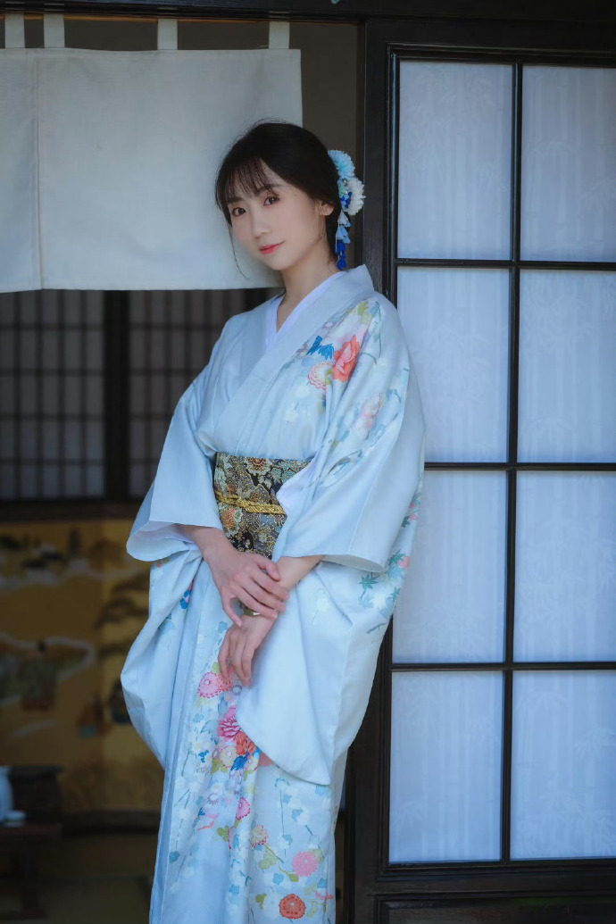 甄嬛传 封面